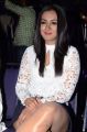 Actress Catherine Tresa Photos @ Sarainodu Success Meet