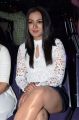 Actress Catherine Tresa Photos @ Sarainodu Success Meet