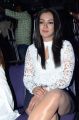 Actress Catherine Tresa @ Sarainodu Movie Success Meet Photos