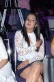 Actress Catherine Tresa Photos @ Sarrainodu Success Meet