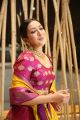 Actress Catherine Tresa Latest Photos @ World Famous Lover Pre Release