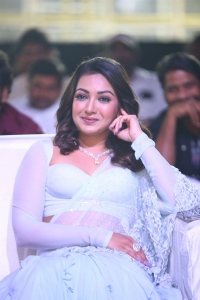 Waltair Veerayya Actress Catherine Tresa Saree Image