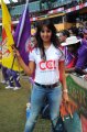 Actress Sanjana Stills in CCL season 2
