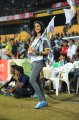 Actress Genelia @ Mumbai Heroes vs Kerala Strikers