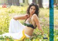 September 2012 Lakshmi Rai Hot CCL Calendar Stills