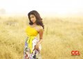 Amala Paul @ CCL 2012 Calender Hot Spicy Stills