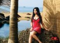 Richa Gangopadhyay @ CCL 2012 Calender Hot Spicy Stills