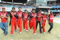 Telugu Warriors CCL 2012 Team