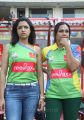 CCL 3 Semi Final Kerala Strikers Vs Karnataka Bulldozers Match Photos