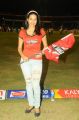 Actress Shraddha Das at CCL 3 Telugu Warriors Vs Mumbai Heroes Match Photos