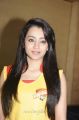 Actress Trisha @ CCL 4 Chennai Rhinos Team Press Meet Stills