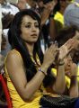 Trisha At CCL 4 Chennai Rhinos vs Kerala Strikers Match Stills