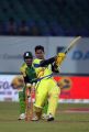 CCL 4 Chennai Rhinos vs Kerala Strikers Match Stills