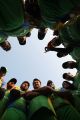 CCL 4 Final Karnataka Bulldozers vs Kerala Strikers Match Photos