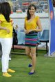 Madhu Shalini at CCL Final Match 2012 Stills