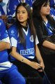 Actress Nikesha Patel in CCL season 2 match