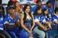 Chennai Rhinos vs Karnataka Bulldozers