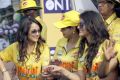 CCL5 Chennai Rhinos Vs Veer Marathi Match Photos