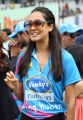 CCL5 Mumbai Heroes Vs Chennai Rhinos Match Photos