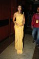 Richa Gangopadhyay at Santosham Awards 2012 Photos