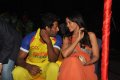 CCL 2012 Curtain Raiser Pictures