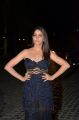 Actress Lavanya Tripathi @ 64th Filmfare Awards South 2017 Red Carpet Photos