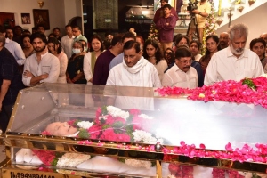 Celebs pay homage to Krishna Photos