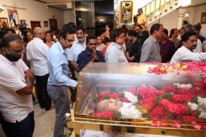 Celebs pay homage to Krishna Photos