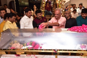 Celebs pay homage to Krishna Photos