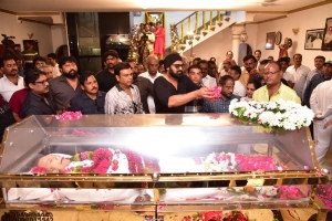 Prabhas pay homage to Krishna Photos