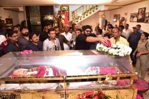 Prabhas pay homage to Krishna Photos