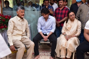 N. Chandrababu Naidu pay homage to Krishna Photos