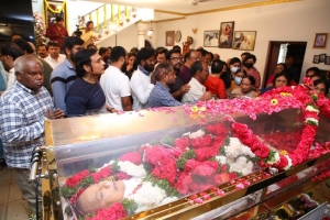 Celebs pay homage to Krishna Photos