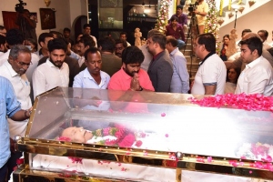 Celebs pay homage to Krishna Photos