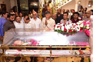 N. Chandrababu Naidu pay homage to Krishna Photos