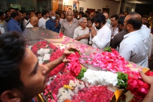 Pawan Kalyan pay homage to Krishna Photos