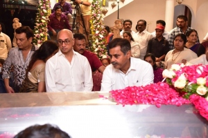 Celebs pay homage to Krishna Photos