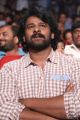 Prabhas @ Chakkiligintha Movie Audio Launch Stills