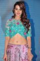 Actress Diksha Panth @ Chal Chal Gurram Movie Audio Release Stills