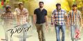 Actor Naga Shaurya in Chalo Movie Feb 2nd Release Wallpapers
