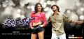 Catherine Tresa, Varun Sandesh in Chammak Challo Telugu Movie Wallpapers