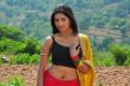 Sanchita Padukone Hot in Chammak Challo Telugu Movie Stills