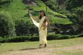 Actress Ishita Dutta Hot in Chanakyudu Movie Stills