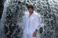 Chanakyudu Movie Actor Tanish Stills