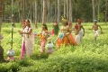 Chandamama Katha Telugu Movie Stills