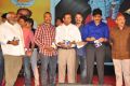 Chandamama Lo Amrutham Movie Audio Launch Stills