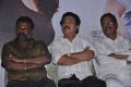 Chandamama Movie Audio Launch pictures