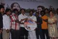 Chandamama Movie Audio Launch pictures