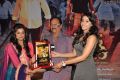 Chandi Movie Platinum Disc Function Stills