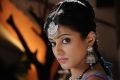 Actress Priyamani in Chandee Telugu Movie Stills